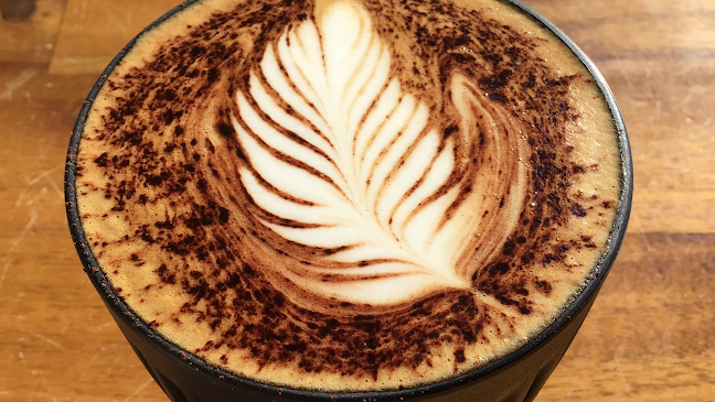 Steam & Cedar - Gladstone