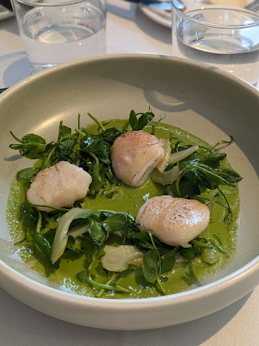 Comentarii opinii despre Bellota Wine Bar