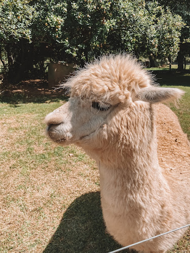 Hill End Estate - Sydney