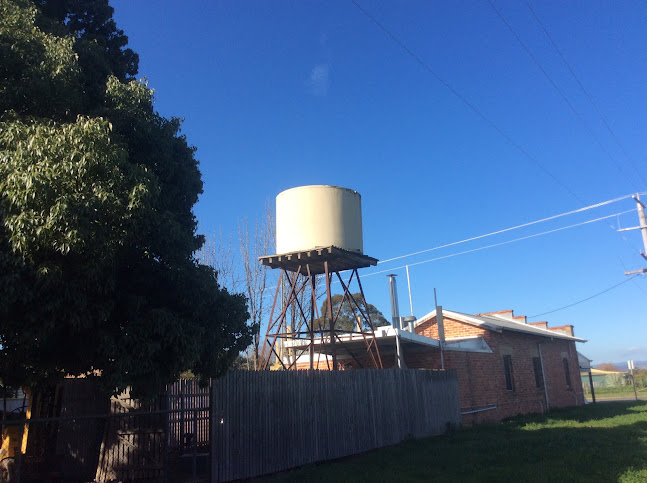 Comentarii opinii despre Milawa Mustards