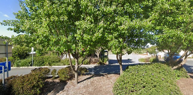 The Dish on Fleurieu