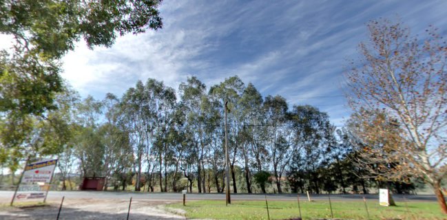 Oggies Ice Cream Cafe - Hospitality and gastronomy