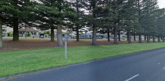 Thai N Grill - Hospitality and gastronomy