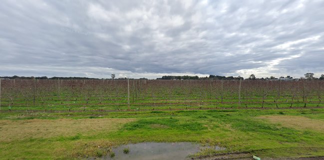 Opinii despre Super Fresh Australia în Shepparton - Hospitality and gastronomy