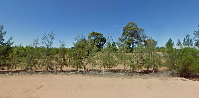 Fresh Fruit & Veggies 2U